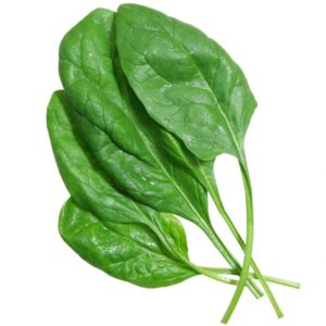 Spinach (Palak) Seeds - 25 gms