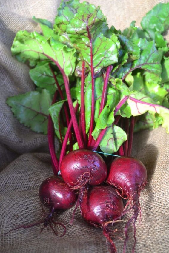 Beetroot (Chukandar) Seeds 15-25 gms